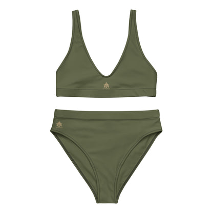 The Authoritee™ High-Waisted Bikini