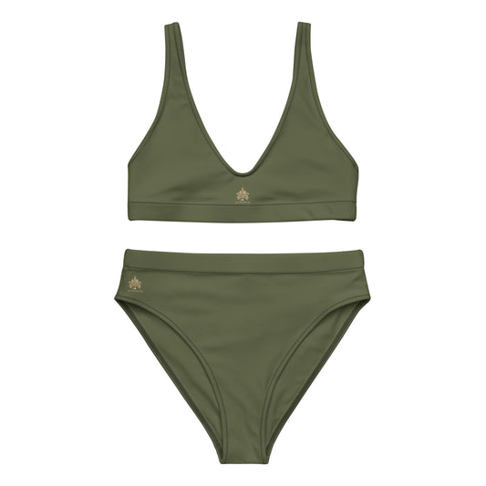 The Authoritee™ High-Waisted Bikini