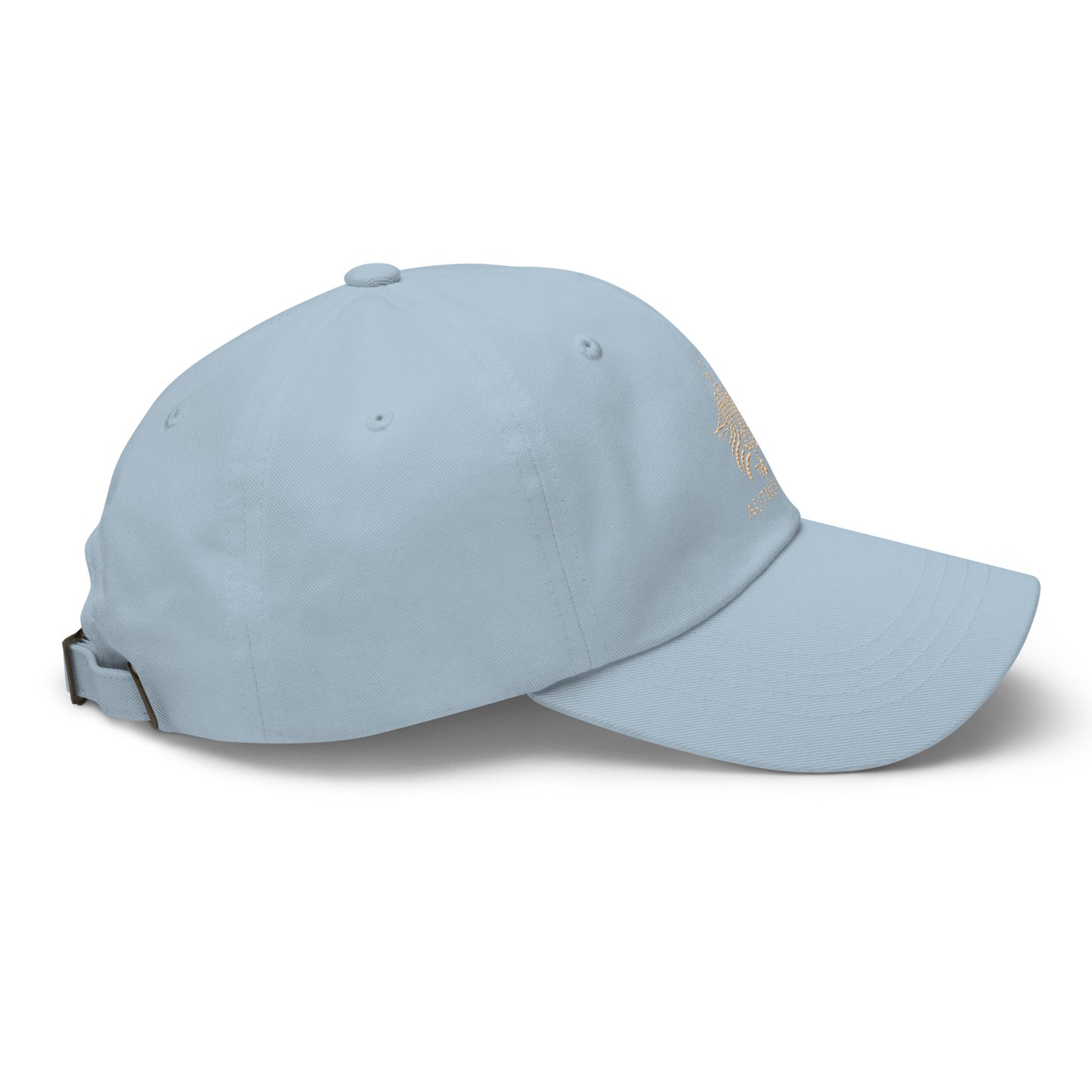 The Authoritee™ Hat (11 colors available)