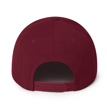 The Authoritee™ Snapback Hat (20 colors available)